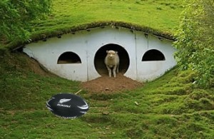 A New Zealander comes out of his home to play rugby